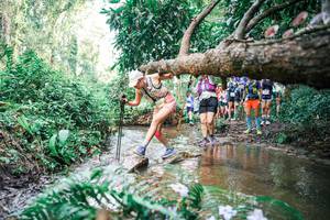 BIB: 
                            <button type="button" onclick="openModal(25516344)" class="btn btn-primary btn-sm float-right btn-popup" data-toggle="modal" data-target=".modal-high-quality">
                        <i class="fas fa-shopping-cart"></i> Add to Cart
                    </button>
                                            <button type="button" onclick="isThisMe(25516344, true)" class="btn btn-success btn-sm float-right btn-popup btn-isme hidden" data-toggle="tooltip" data-placement="bottom" title="นี่คือรูปของคุณใช่ไหม คลิกที่นี่เพื่อเอาเข้าอัลบั้ม">
                        <i class="fas fa-plus"></i> Add to album
                    </button>
                    <button type="button" onclick="isThisMe(25516344, false)" class="btn btn-warning btn-sm float-right btn-popup btn-isnotme hidden">
                        <i class="fas fa-ban"></i> Remove from album
                    </button>